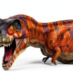 Angry Birds Playground: National Geographic Kids Illustrated Edition-0